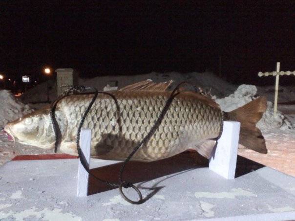 2010 New Years Eve Carp Drop Lucky.jpg