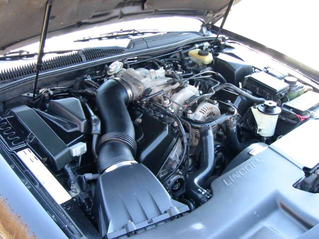 98LSCUNDERHOOD41905.jpg