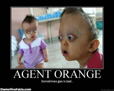 agent orange.jpg