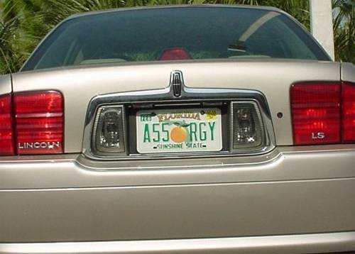 Best-License-Plate-Ever_500x500.jpg