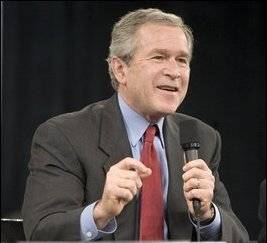 bush4.jpg