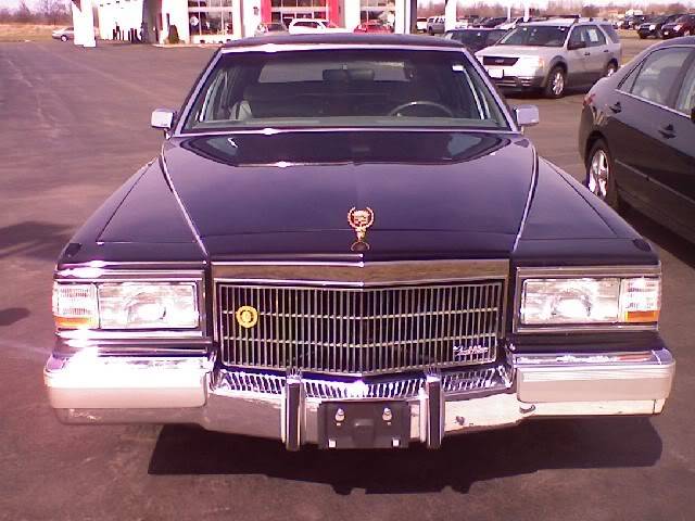 cadi.jpg