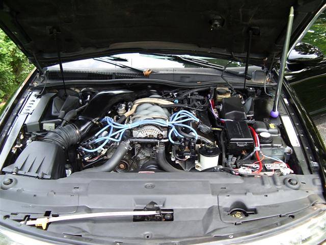 car pics (4) (Small).JPG