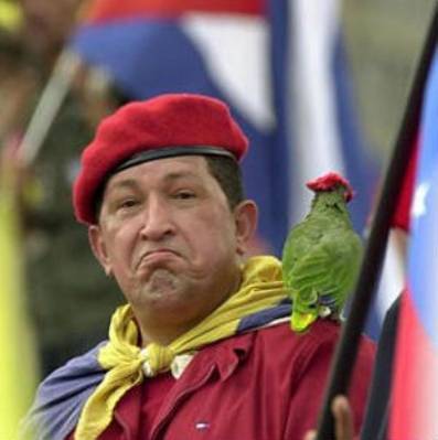 chavez-parrot.jpg