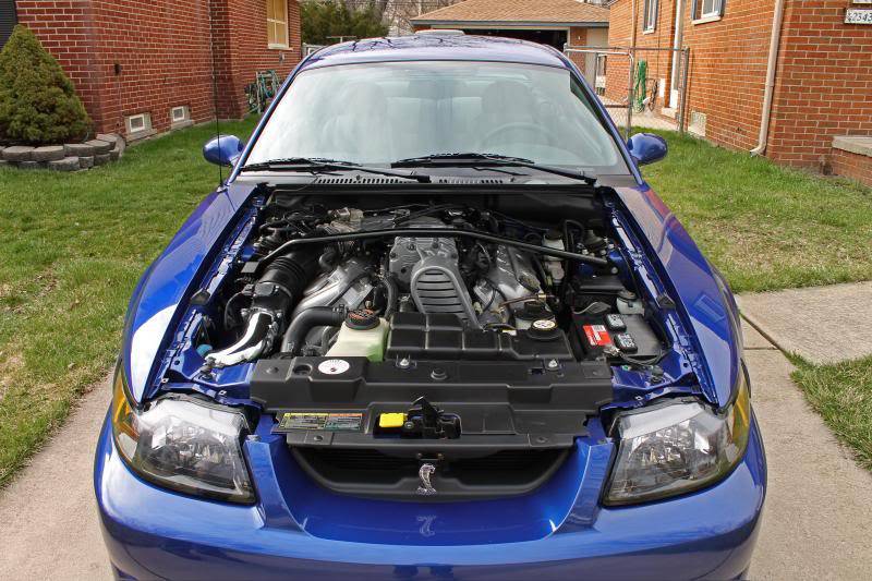 Cobraunderhood_zps2f40714b.jpg