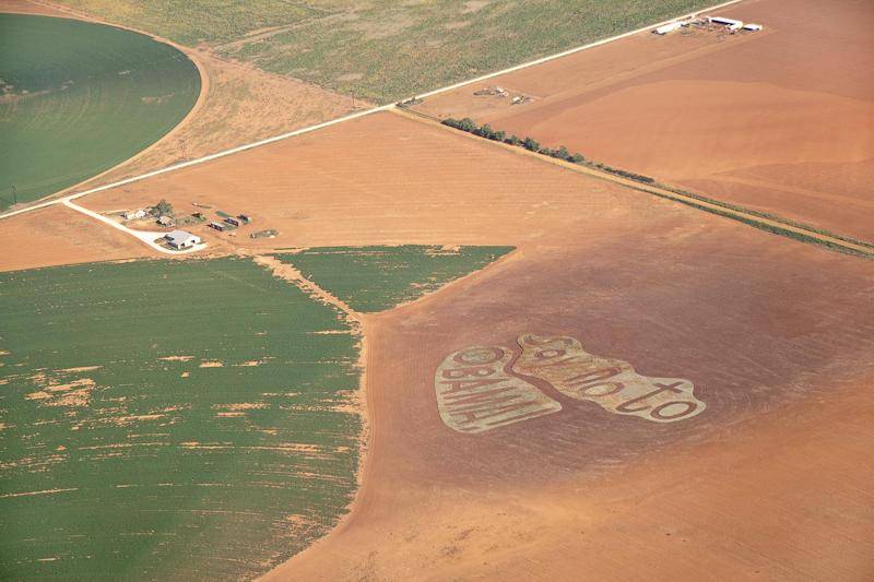 cropcircle 2.JPG