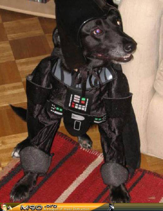 dogvader.jpg