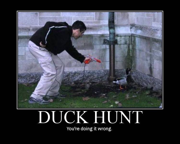 duck hunt.jpg