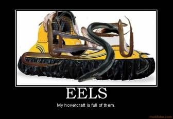 eels-hovercraft-eels-monty-python-demotivational-poster-1224276190.jpg