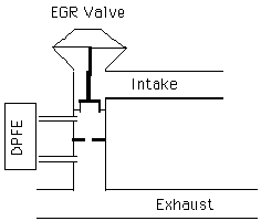 egr1.gif