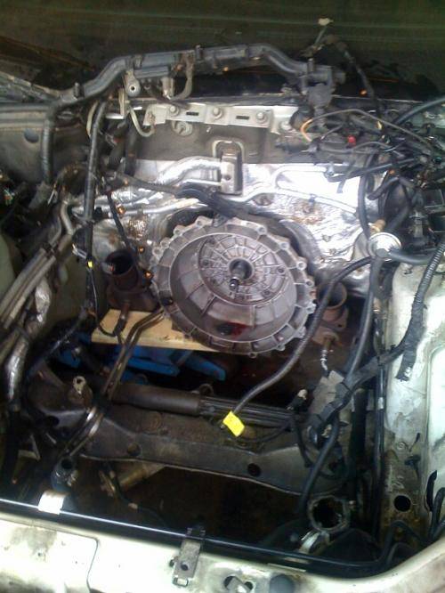 empty engine bay, pulled engine out the top with torque converter attached.jpg