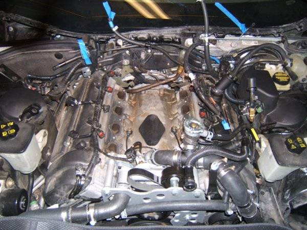 engine bay open v2 (small).jpg