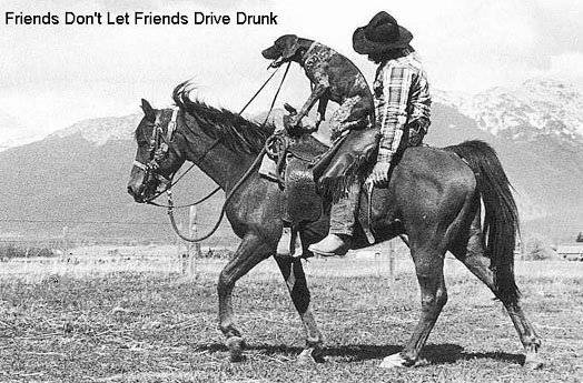 friends don't let friends drive drunk.jpg