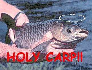 holy carp.jpg