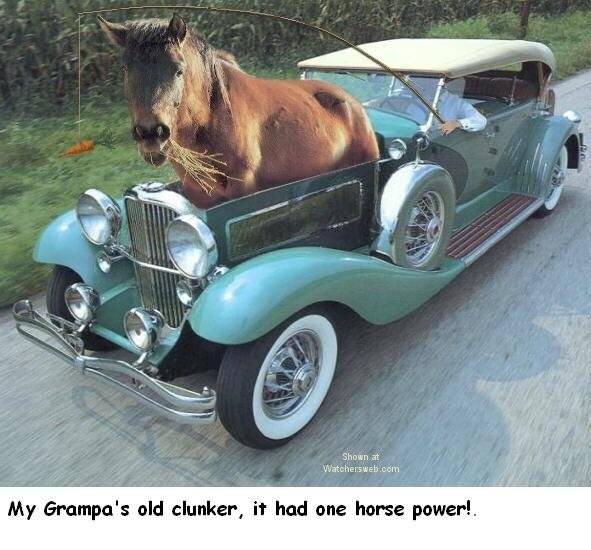 horse power.jpg