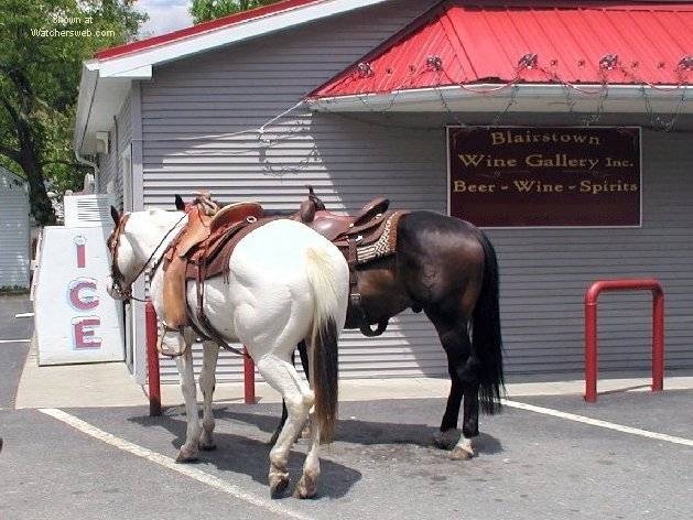 horsing around the liquor store.jpg