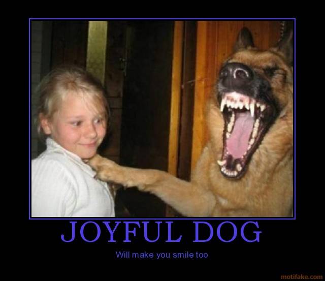 joyful dog.jpg