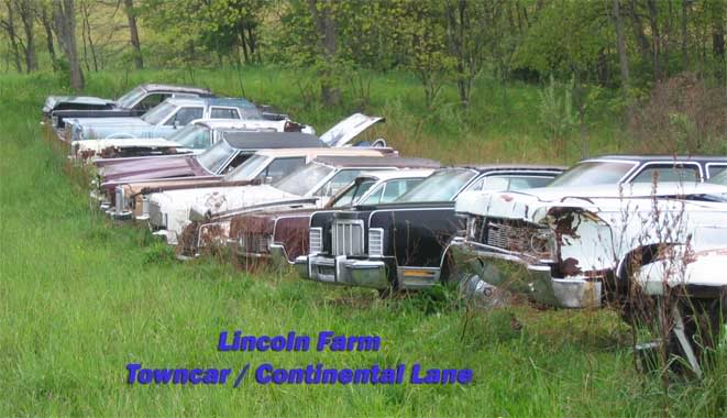 Lincoln-Farm4.jpg