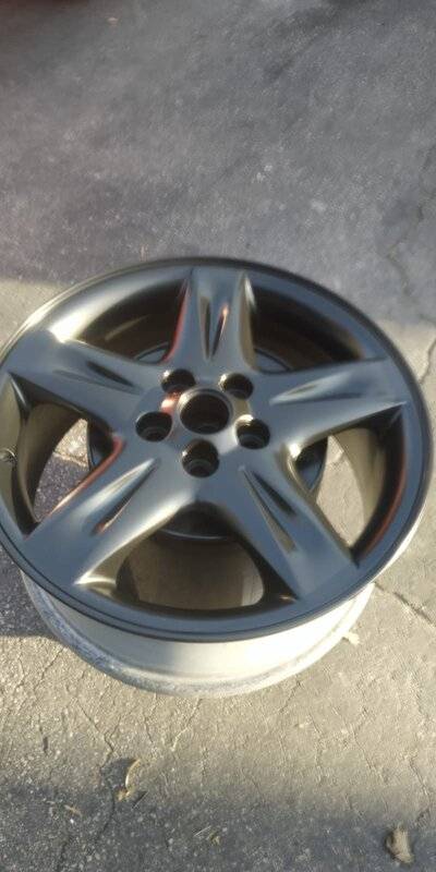 LS rim curing.jpeg