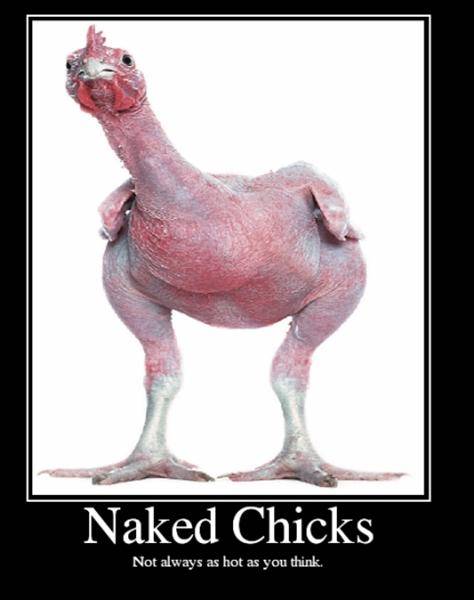 naked chicks.jpg