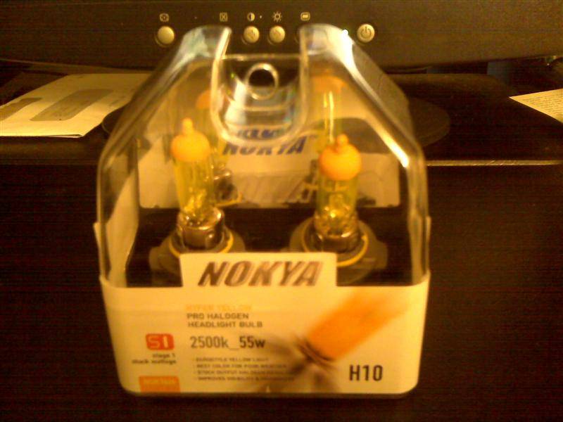 Nokya yellow fogs (Medium).JPG