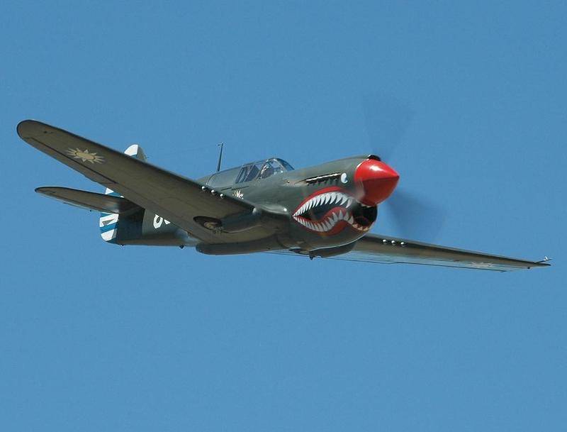 p40ewarhawkinfltkp0.jpg