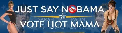 Palin-Nobama-Hot-Mama-bumpersticker.jpg