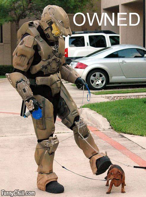 puppy-owns-halo.jpg