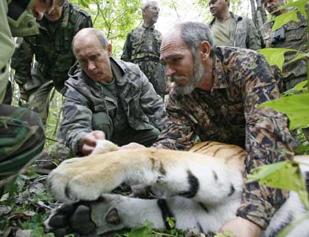 putin tiger.jpg