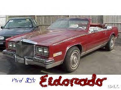 red eldo dt.jpg