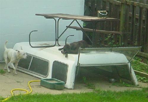 Redneck Dog House.jpg