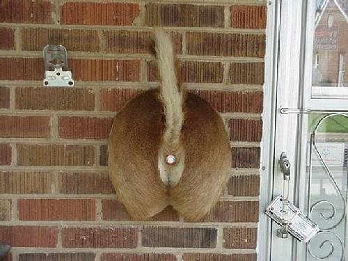 Redneck Door Bell.jpg