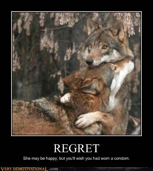 regret wolf.jpg