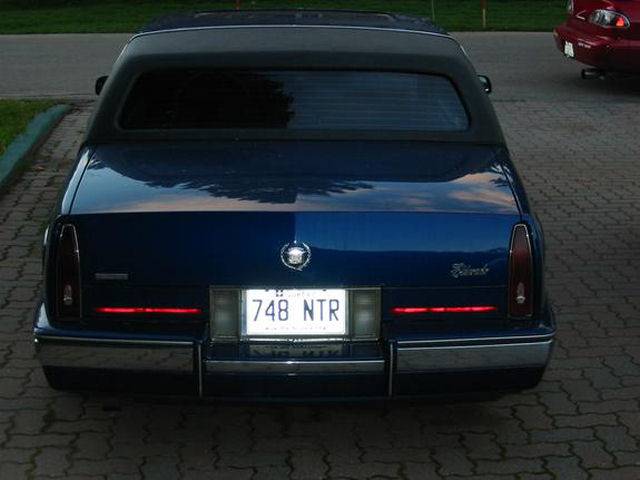 s Eldo rear.jpg