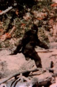 sasquatch.jpg