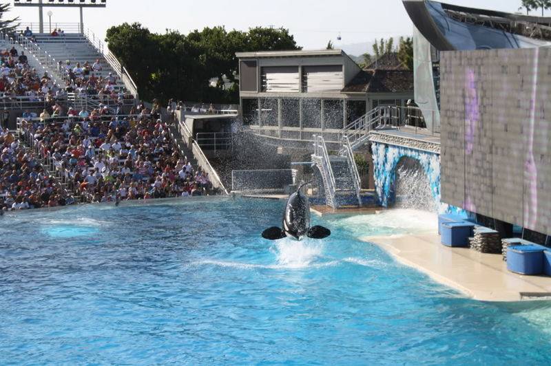 seaworld024.jpg