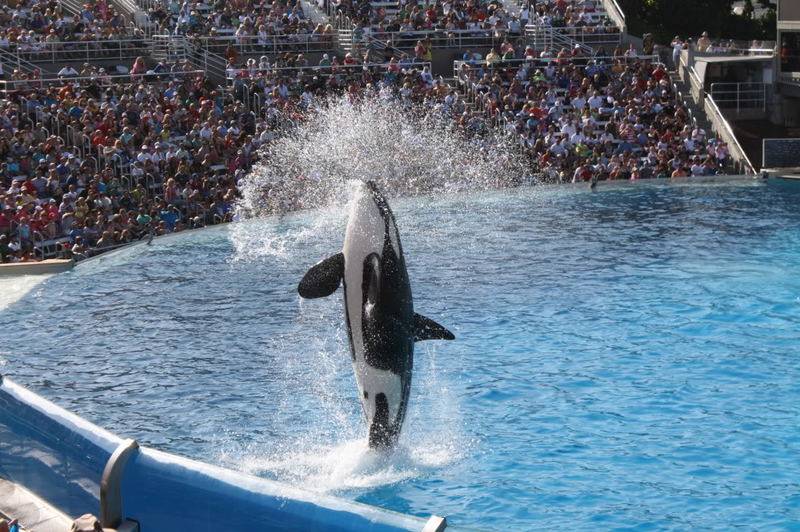 seaworld033.jpg