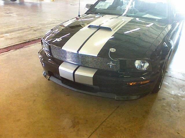 shelby gt 2.jpg