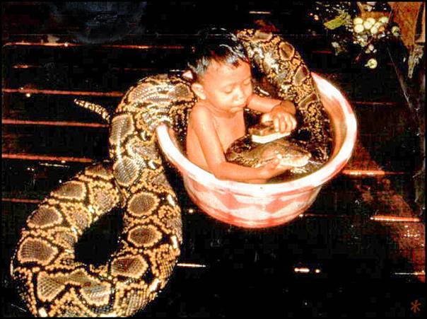 snake bath.jpg