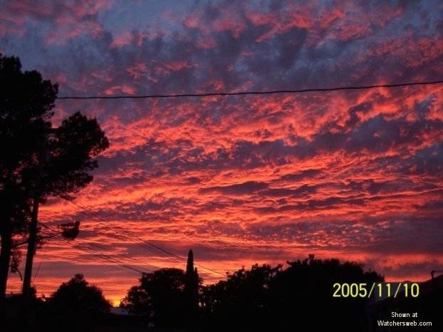 Tucson sunset.jpg