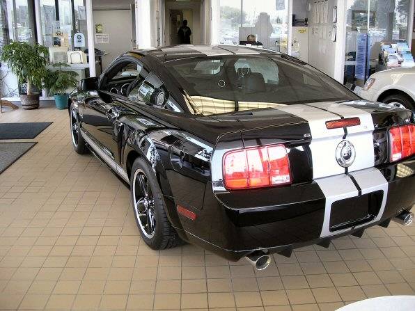 web size shelby gt 02.jpg