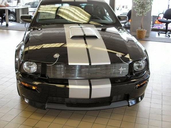 web size shelby gt 03.jpg