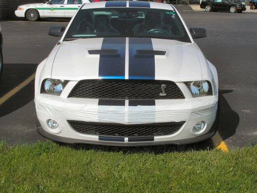 web size shelby gt 500 10.jpg