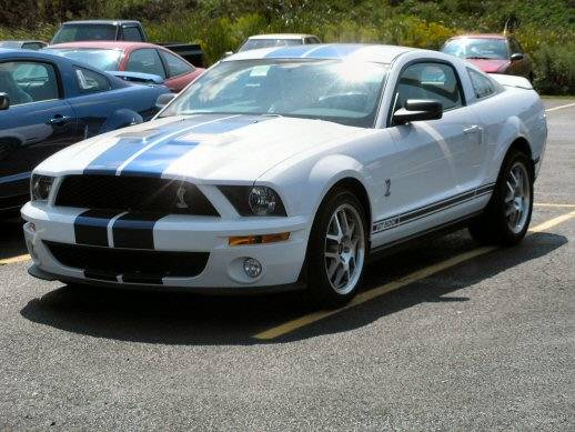 web size shelby gt 500 17.jpg