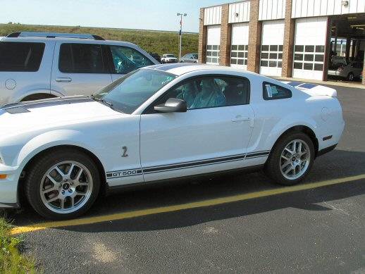 web size shelby gt 500 19.jpg