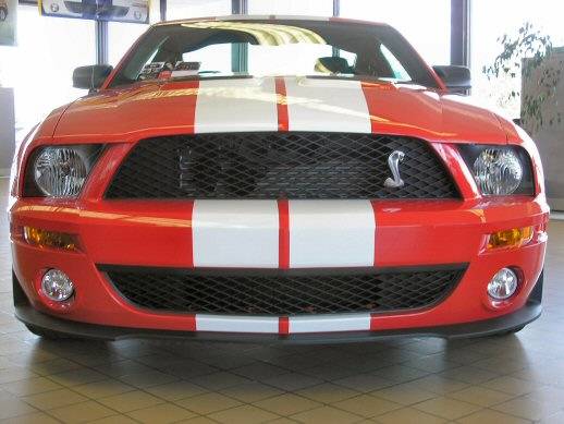 web size shelby gt 500 24.jpg