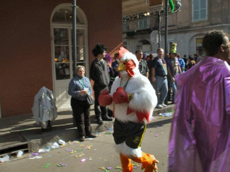 web sized mardigras 076.jpg