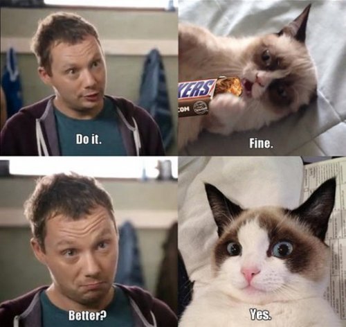 grumpy-cat-tard-snickers-commercial2.jpg.pagespeed.ce.tPkK6ejQBeqUCA6N-Vg5.jpg